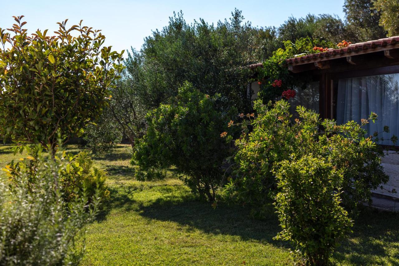 Villa Oliva Kastela Dış mekan fotoğraf